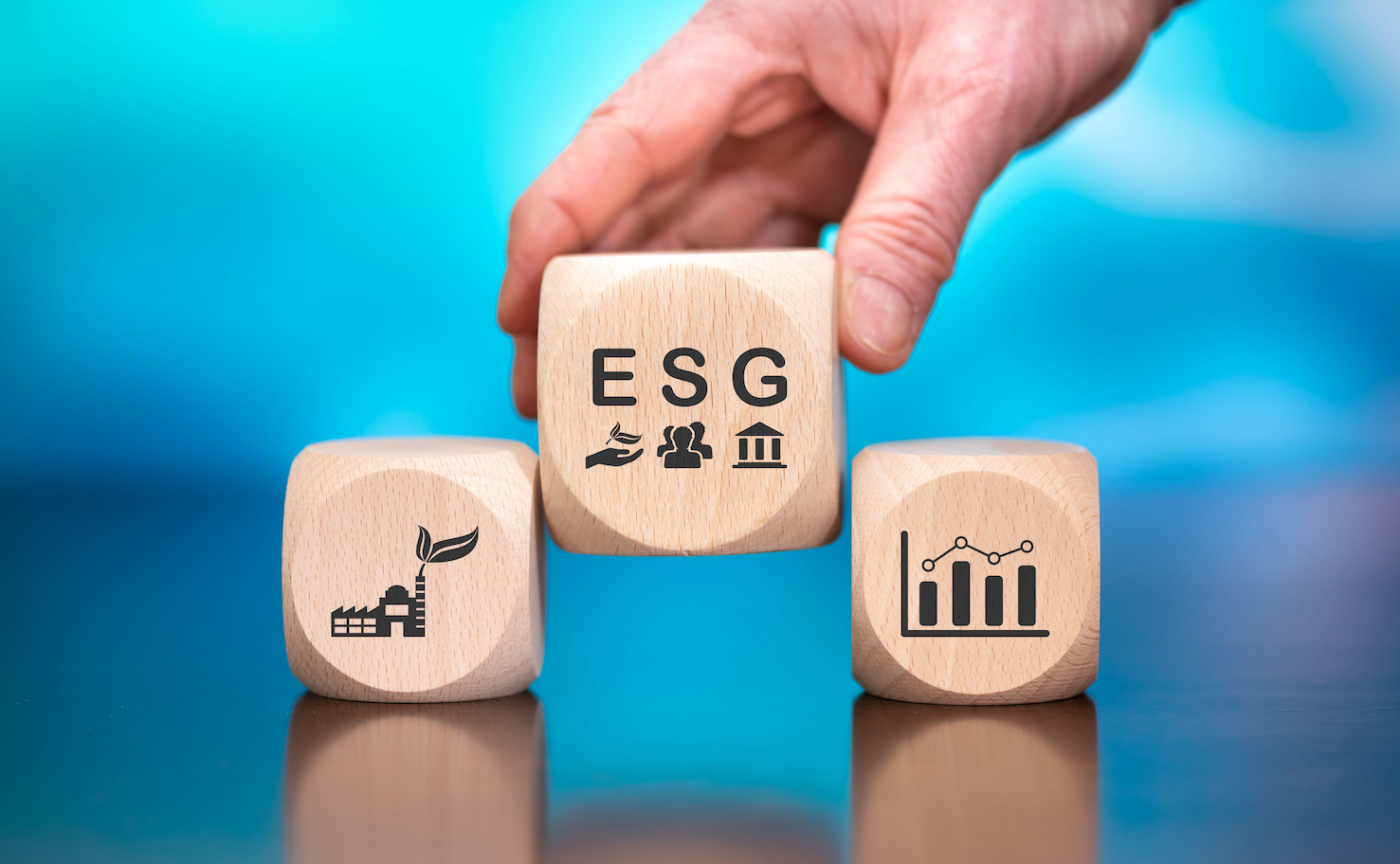 Read more about the article Opportunity or Fad? ESG in an Age of Culture Politics