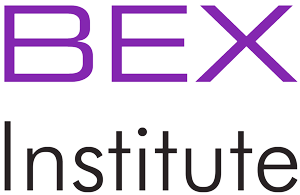 The Business Excellence Institute